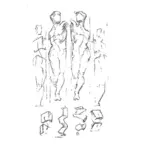 Vector drawings of body of man or woman